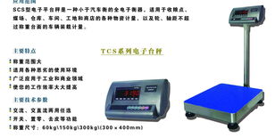 TSC系列電子臺秤 哈爾濱衡器有限責(zé)任公司銷售分公司的電子產(chǎn)品銷售解決方案